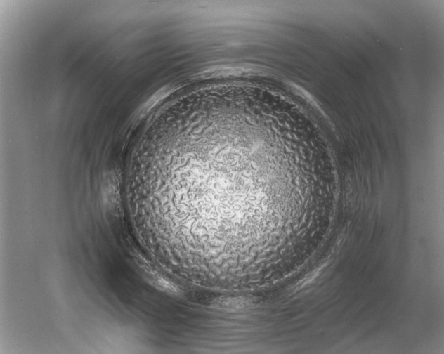 X0000060780778200511141416