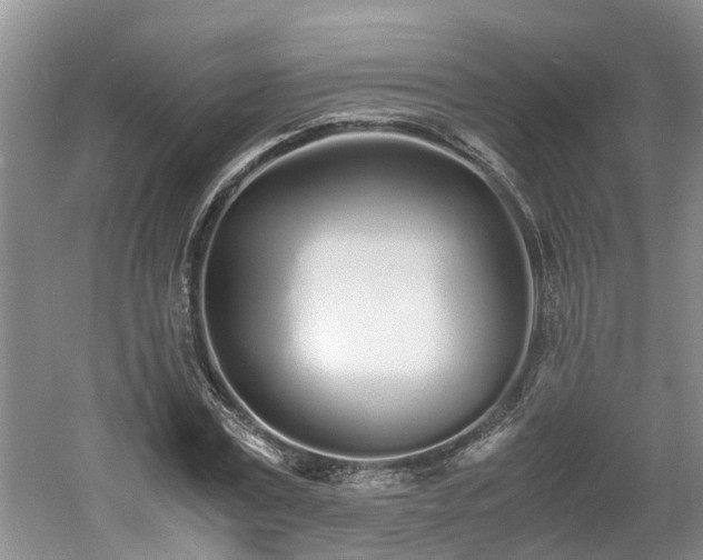 X0000060780779200511141416