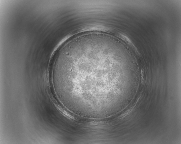 X0000060780780200511141416