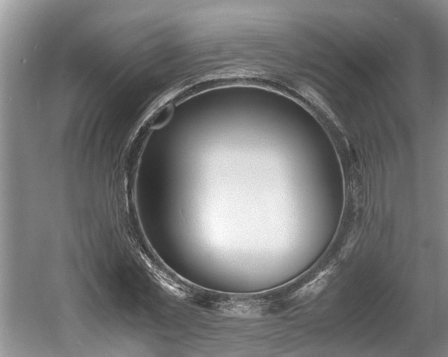 X0000060780781200511141416