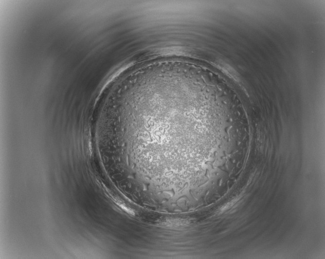 X0000060780782200511141416