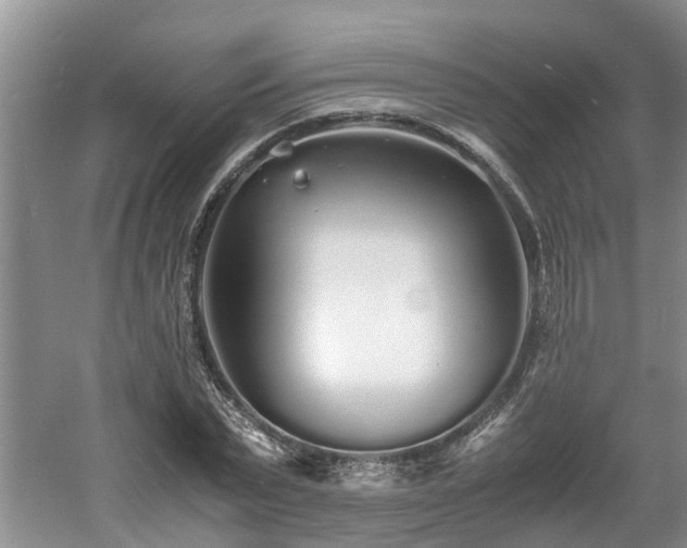 X0000060780783200511141416