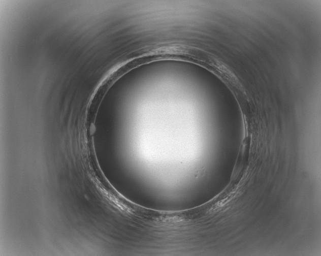 X0000060780784200511141416