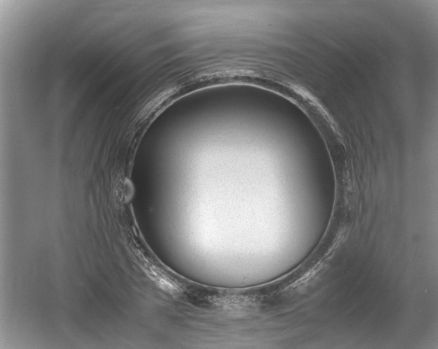 X0000060780785200511141416