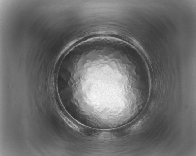 X0000060780787200511141416