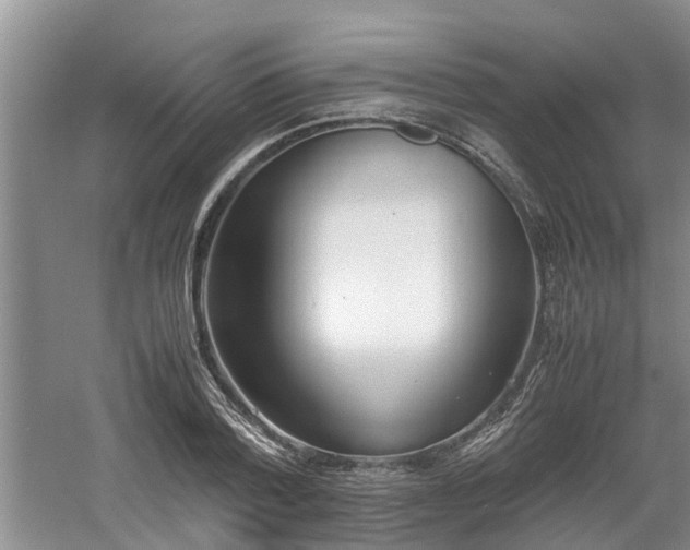 X0000060780788200511141416