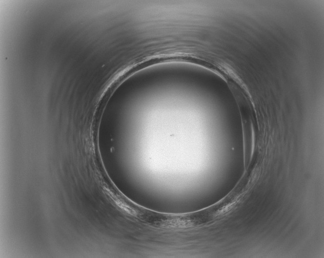 X0000060780789200511141416