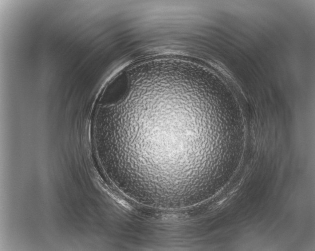 X0000060780790200511141416