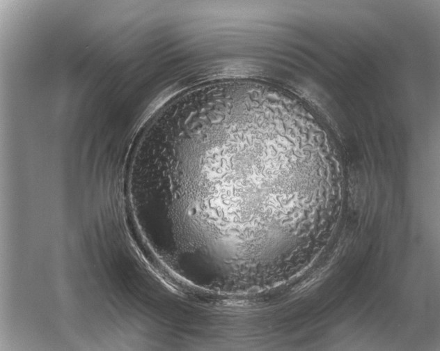 X0000060780794200511141416