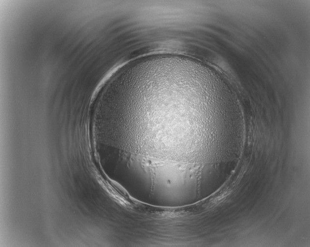 X0000060780796200511141416