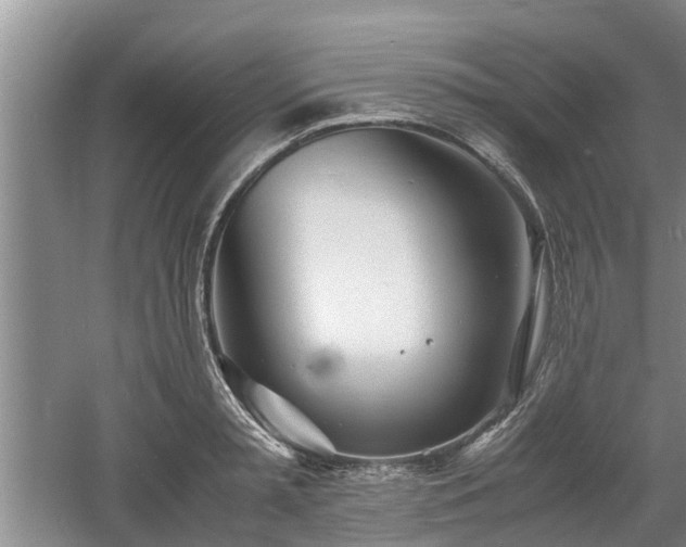 X0000060780797200511141416