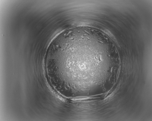 X0000060780798200511141416