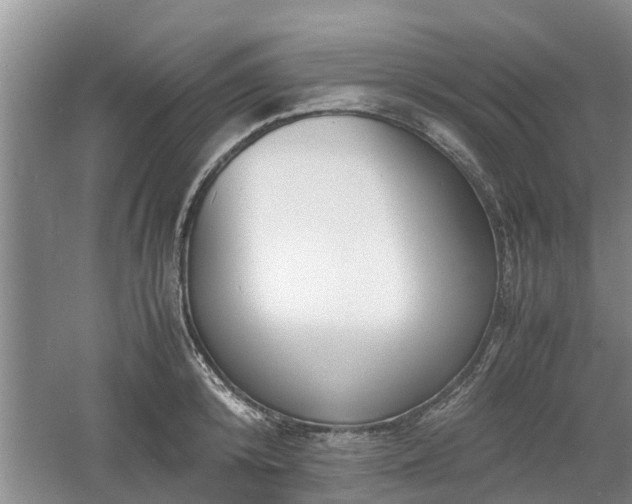 X0000060780800200511141416