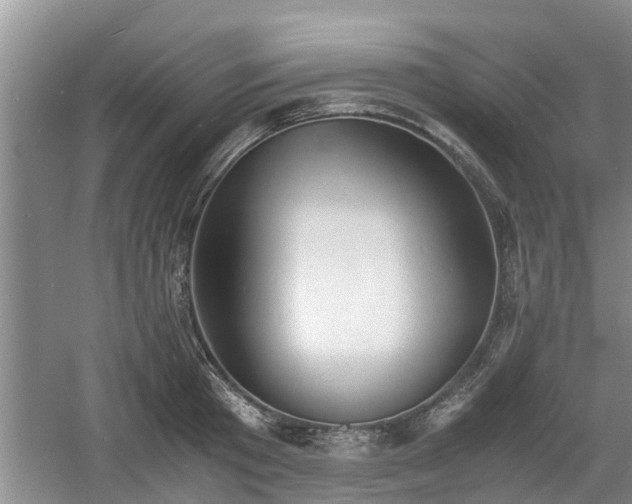 X0000060780801200511141416