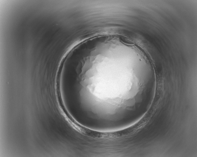 X0000060780803200511141415