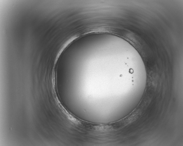 X0000060780804200511141415