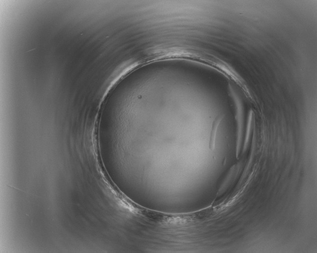 X0000060780806200511141415