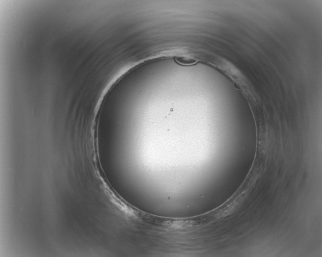 X0000060780808200511141415