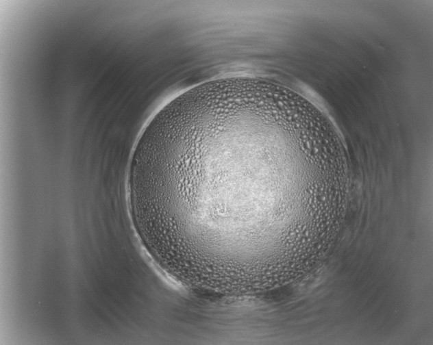 X0000060780811200511141415