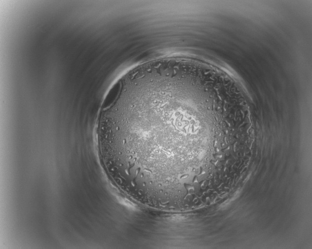 X0000060780814200511141415