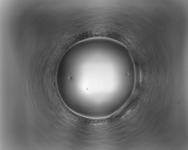 X0000060780817200511141414