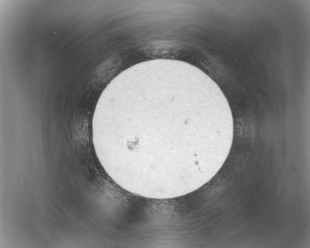 X0000060780820200511141414