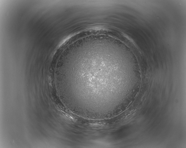 X0000060780823200511141415