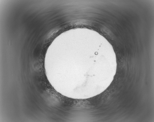 X0000060780824200511141415