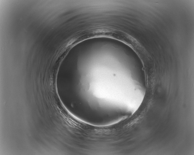 X0000060780825200511141415