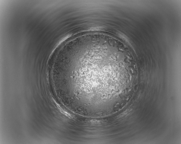 X0000060780827200511141415