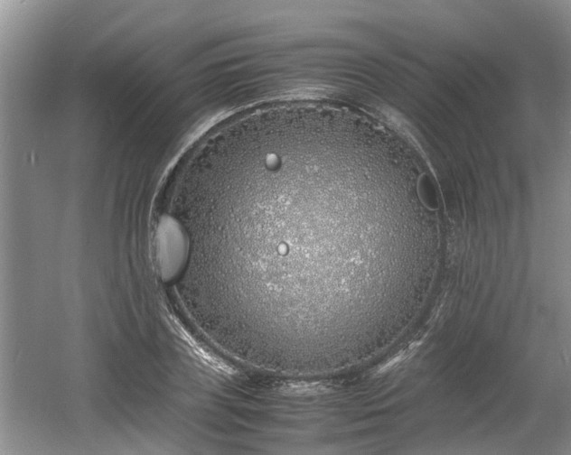 X0000060780835200511141415