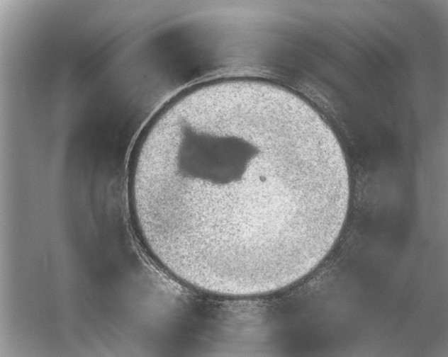 X0000060780836200511141415