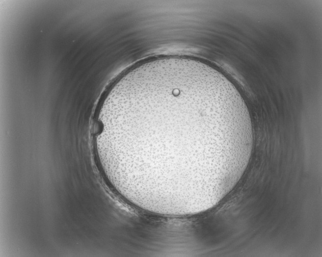 X0000060780848200511141415