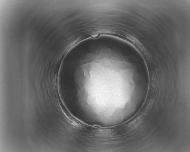 X0000060780849200511141415