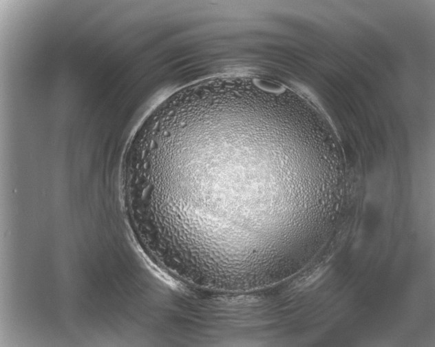 X0000060780851200511141415