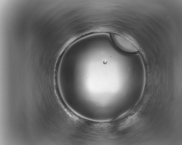 X0000060780853200511141415