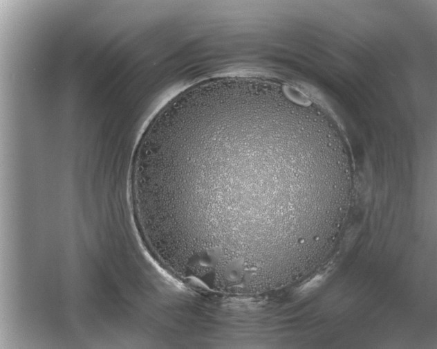 X0000060780855200511141415