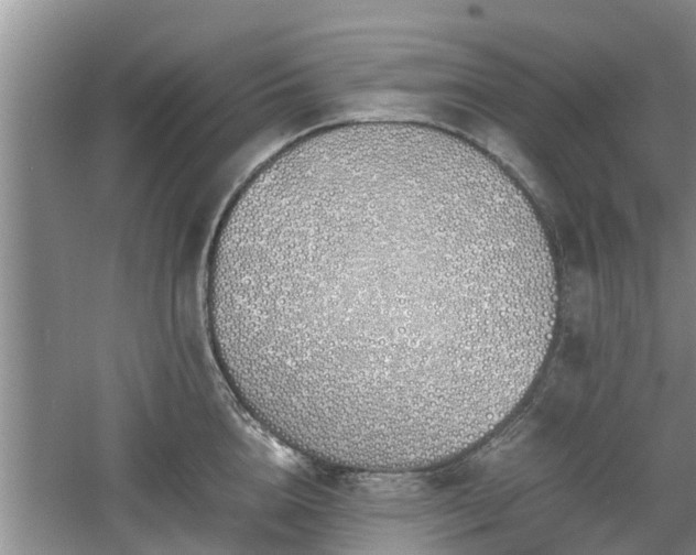 X0000060780856200511141415