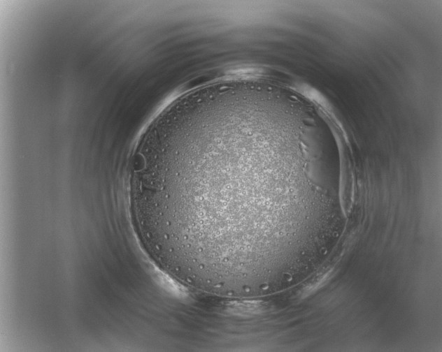 X0000060780859200511141415