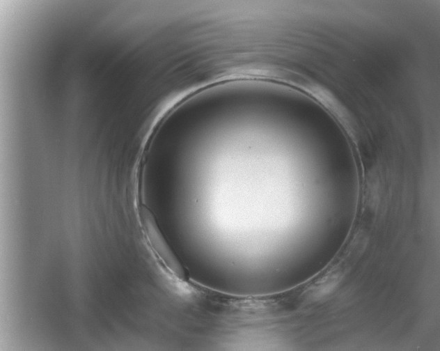 X0000060780862200511141415