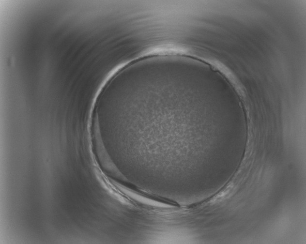 X0000060780864200511141415