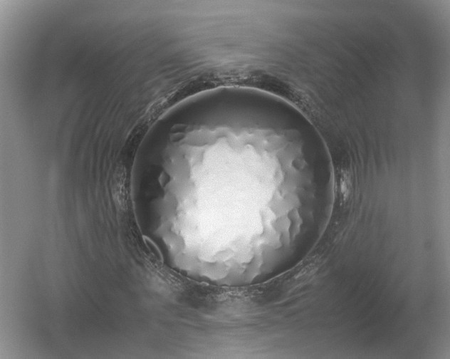 X0000060780867200511141414