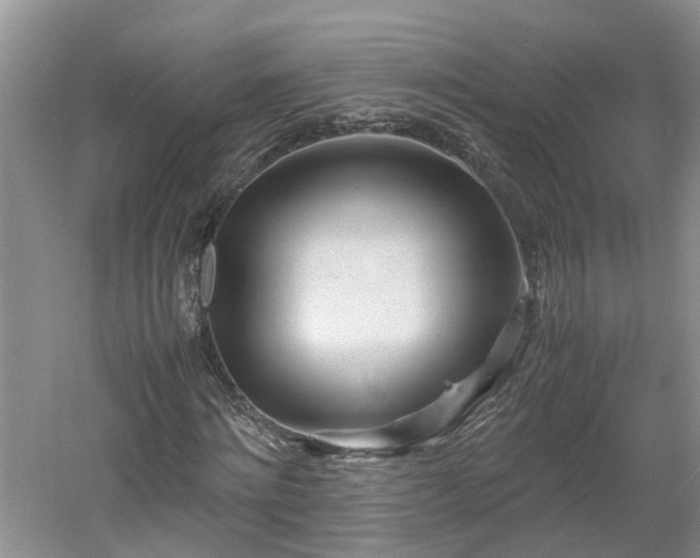 X0000060780868200511141414