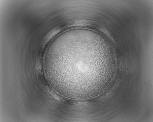 X0000060780874200511141414