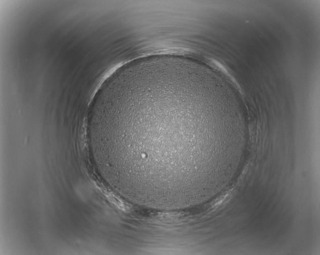 X0000060780875200511141414