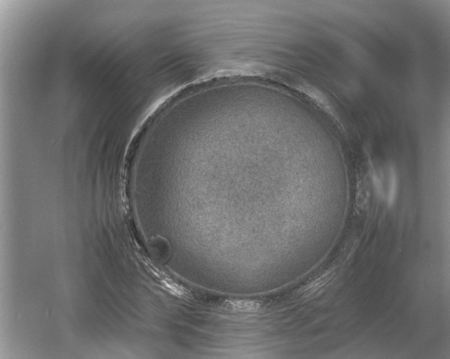 X0000060780878200511141414