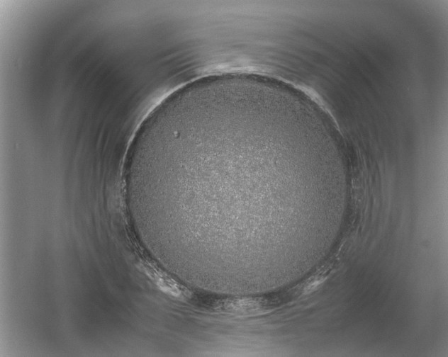 X0000060780879200511141414