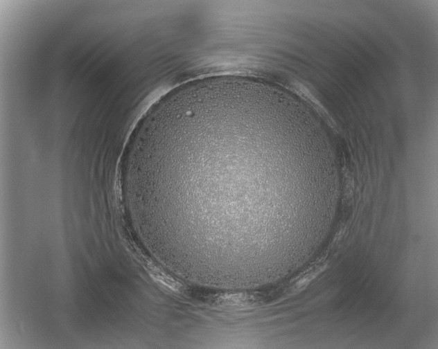 X0000060780883200511141414