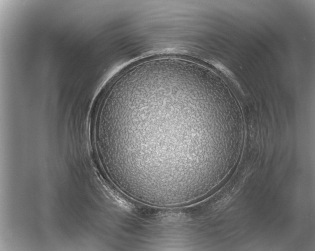 X0000060780886200511141414