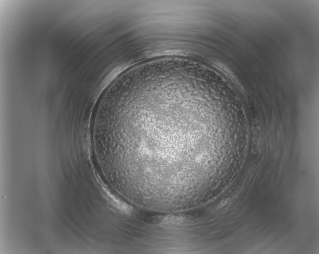 X0000060780890200511141414